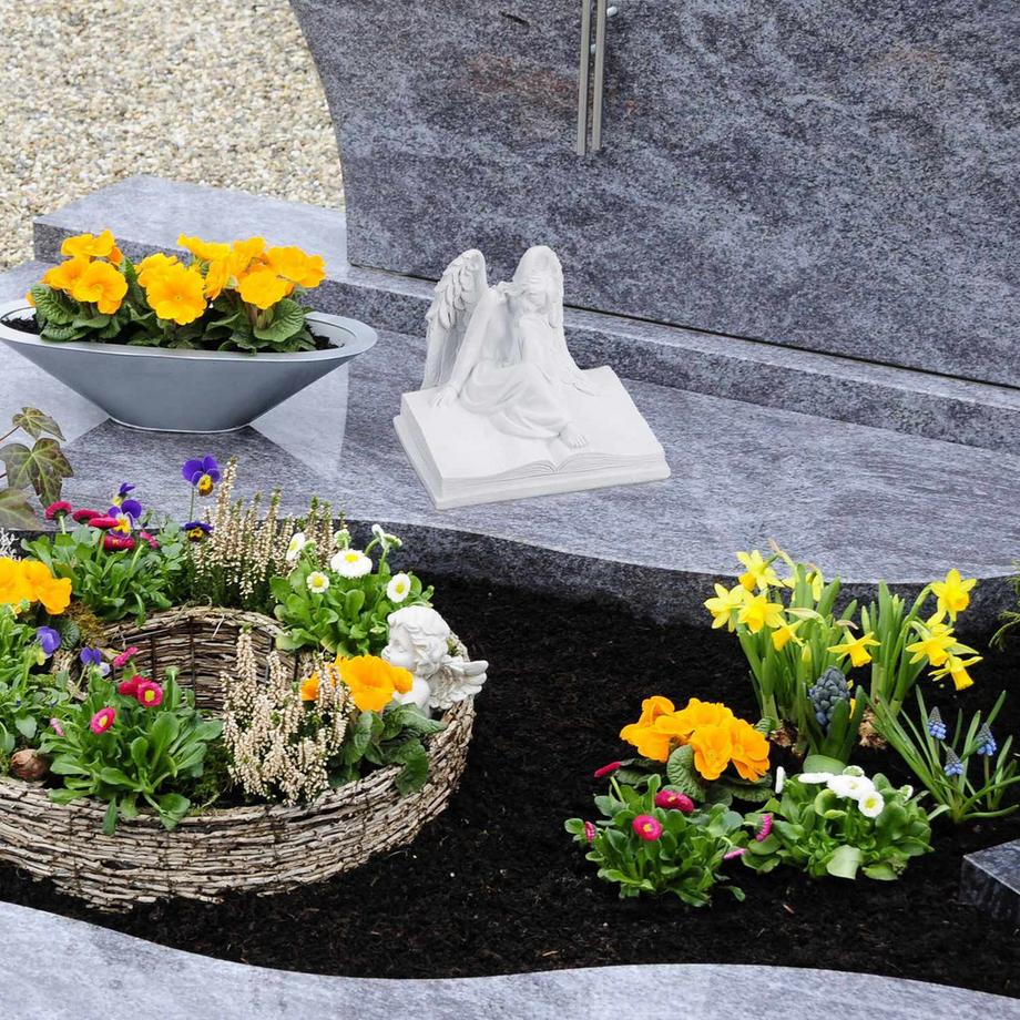 B2X  Grabengel auf Buch 