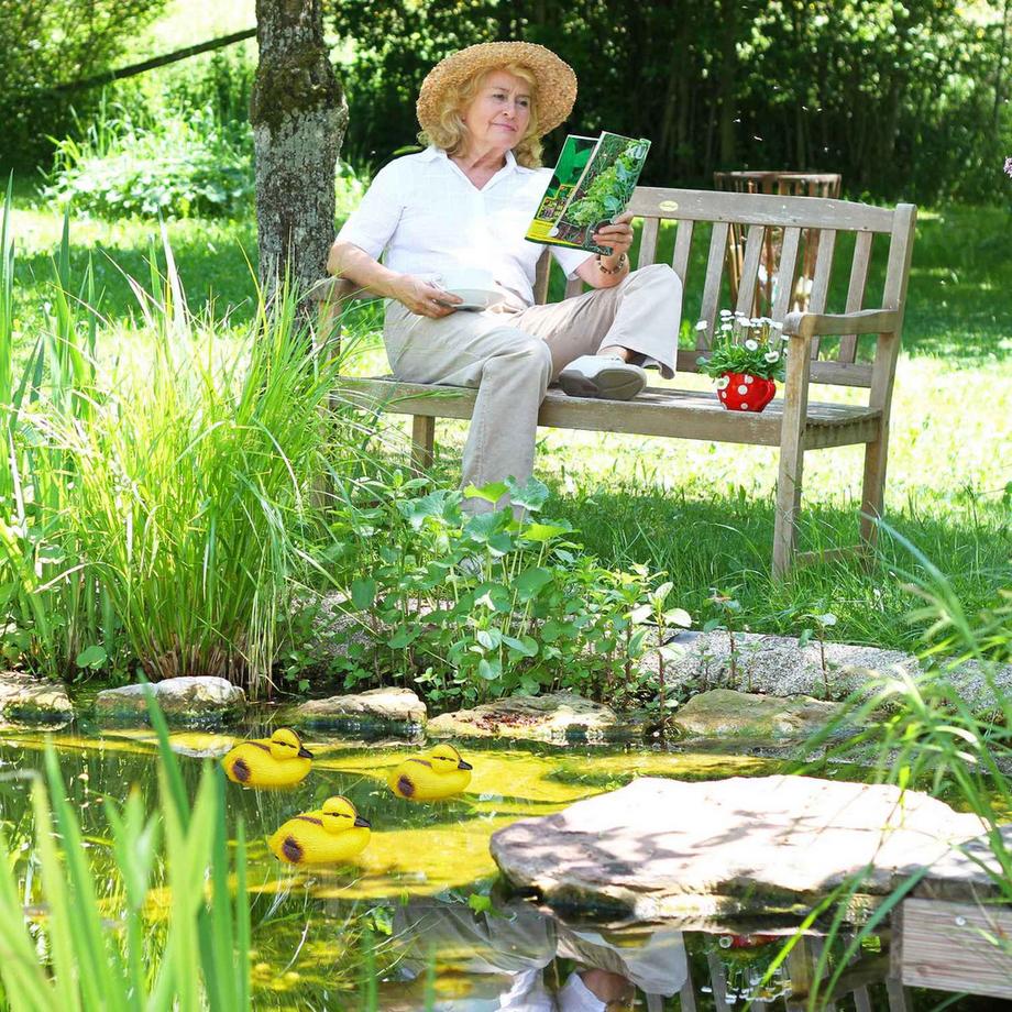 B2X  3 Stk. Enten für Fischteich 