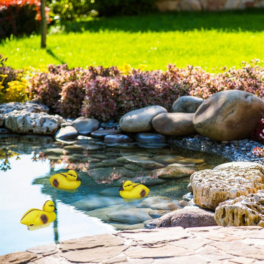 B2X  3 Stk. Enten für Fischteich 