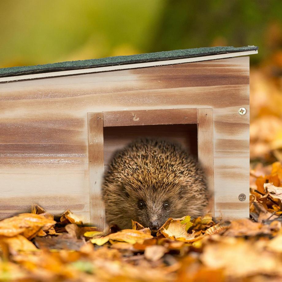 Northix  Maison pour hérisson avec étage 
