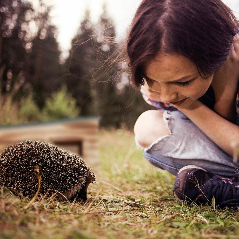 Northix  Maison pour hérisson avec étage 