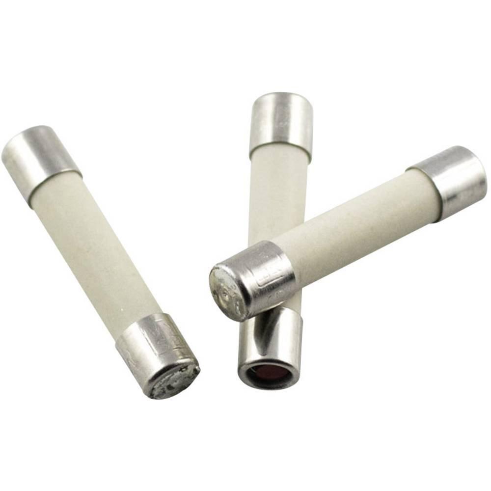 Image of Eska Feinsicherung 5 X 25 Mm, Mittelträge Unisex