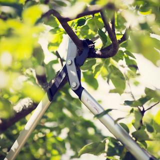 Fiskars PowerGear X-Gartenschere LX94 M  