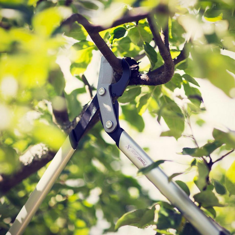 Fiskars Forbici da potatura PowerGear X LX94 M  