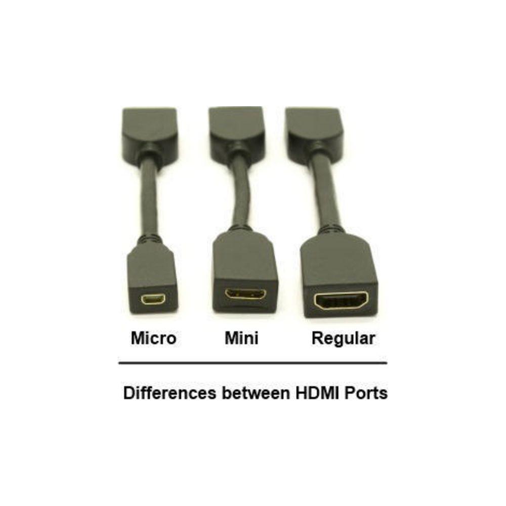 DeLock  Câble adaptateur  mini-hdmi - dvi-i 