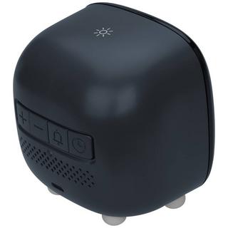 TFA Dostmann Sveglia  