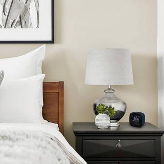 TFA Dostmann Sveglia  