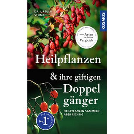 Heilpflanzen und ihre giftigen Doppelgänger Stumpf, Ursula; Lang, Wolfgang (Illustrationen); Golte-Bechtle, Marianne (Illustrationen) Copertina rigida 