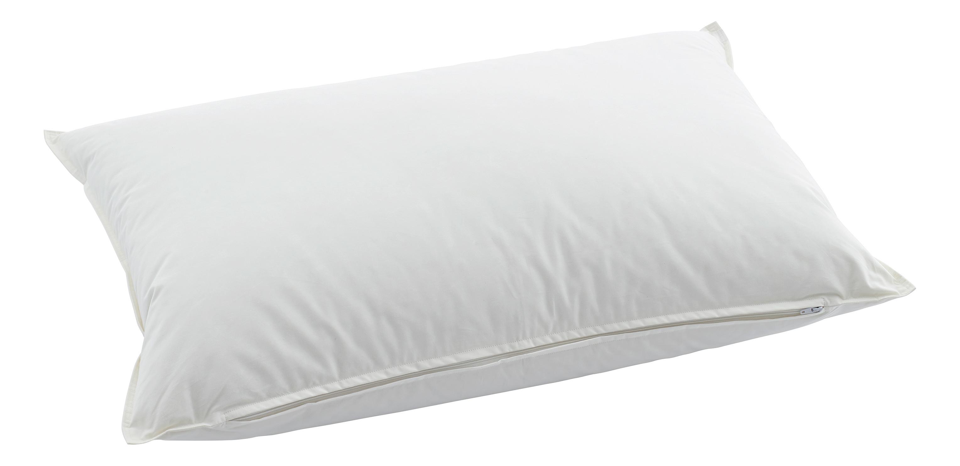 Swiss Dream Oreiller Piuma Pillow Classic 90  