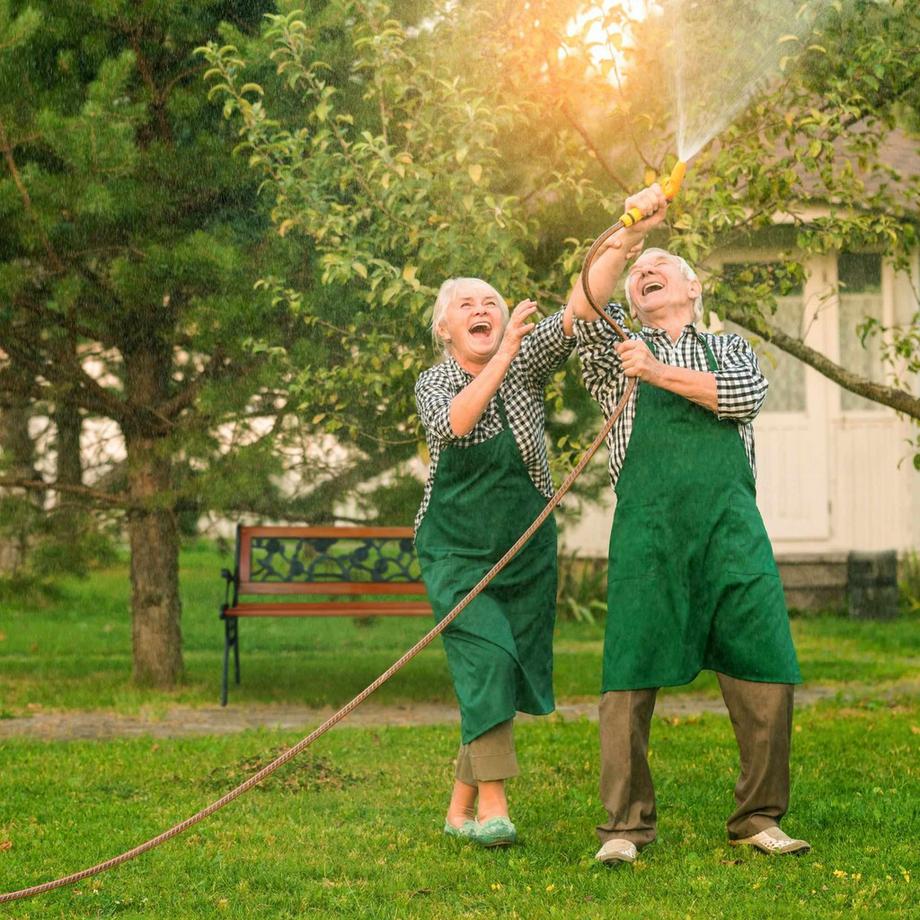 B2X Gartenbank mit Rosen dunkelbraun  