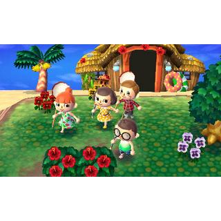 Nintendo  Animal Crossing: New Leaf + Welcome Amiibo 