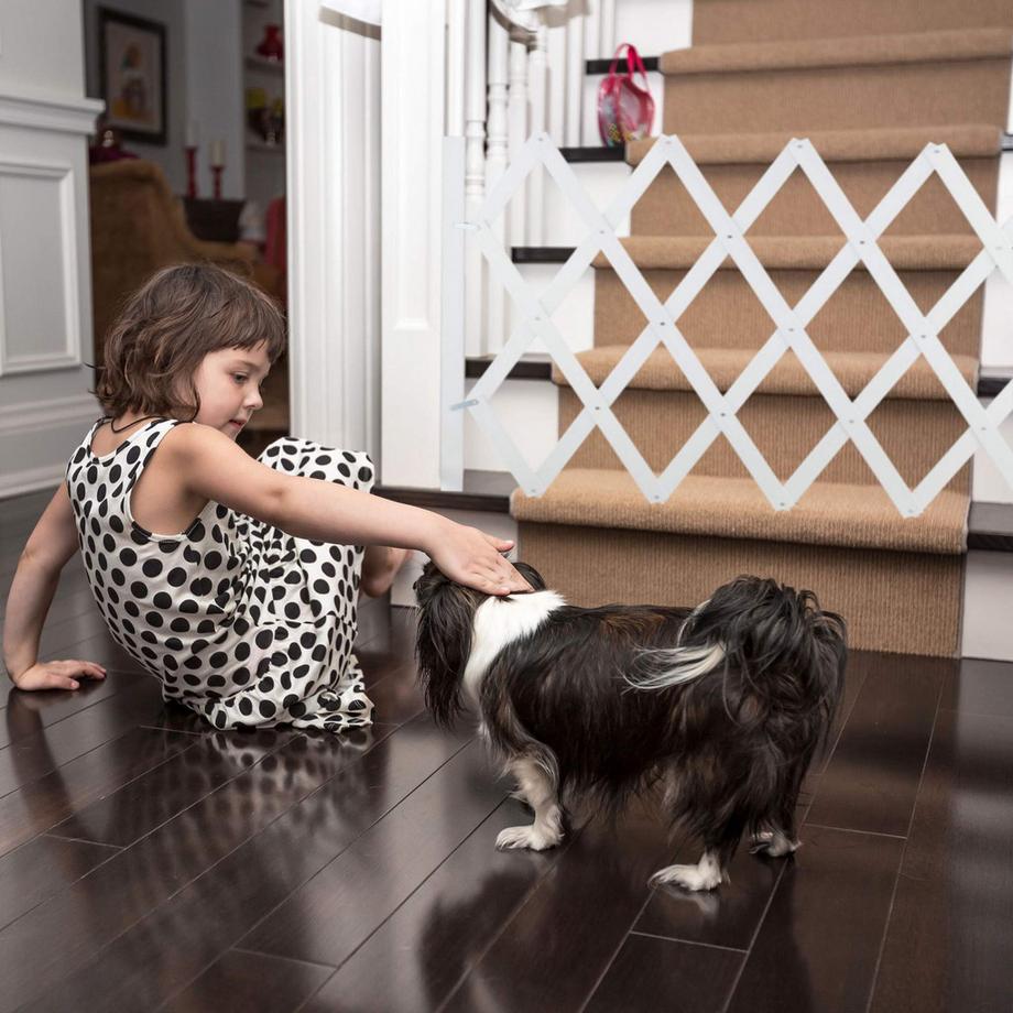 B2X  Rail rétractable pour chien en blanc 