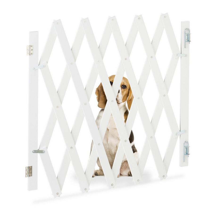 B2X  Rail rétractable pour chien en blanc 