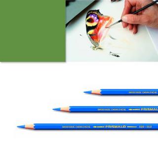 Caran d'Ache Artexport ME7610186843518 pastello colorato Verde  