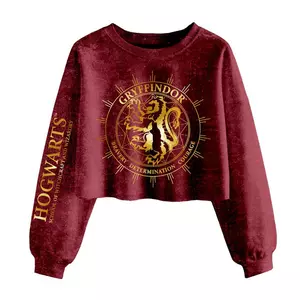 Gryffindor Constellation Kurzes Sweatshirt
