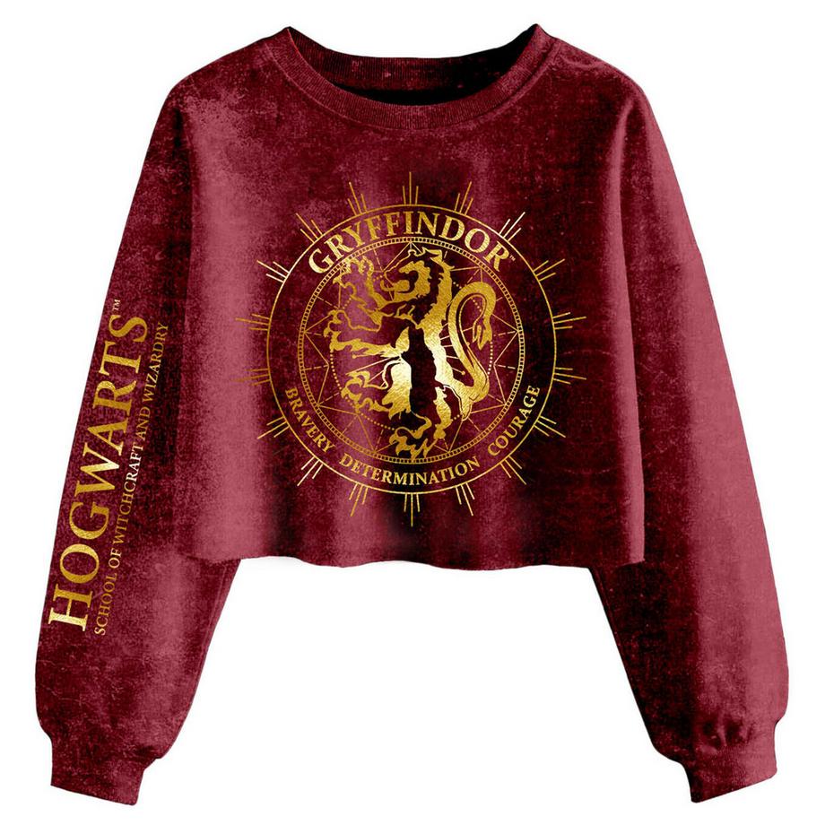 Harry Potter Gryffindor Constellation Kurzes Sweatshirt  