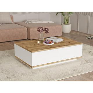 Vente-unique Table basse avec 2 portes - Naturel et Blanc - LOTULA  