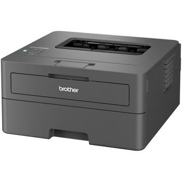 Drucker HL-L2400DW