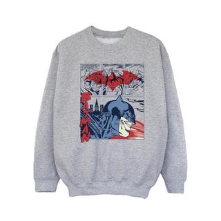 DC COMICS  Sweatshirt 