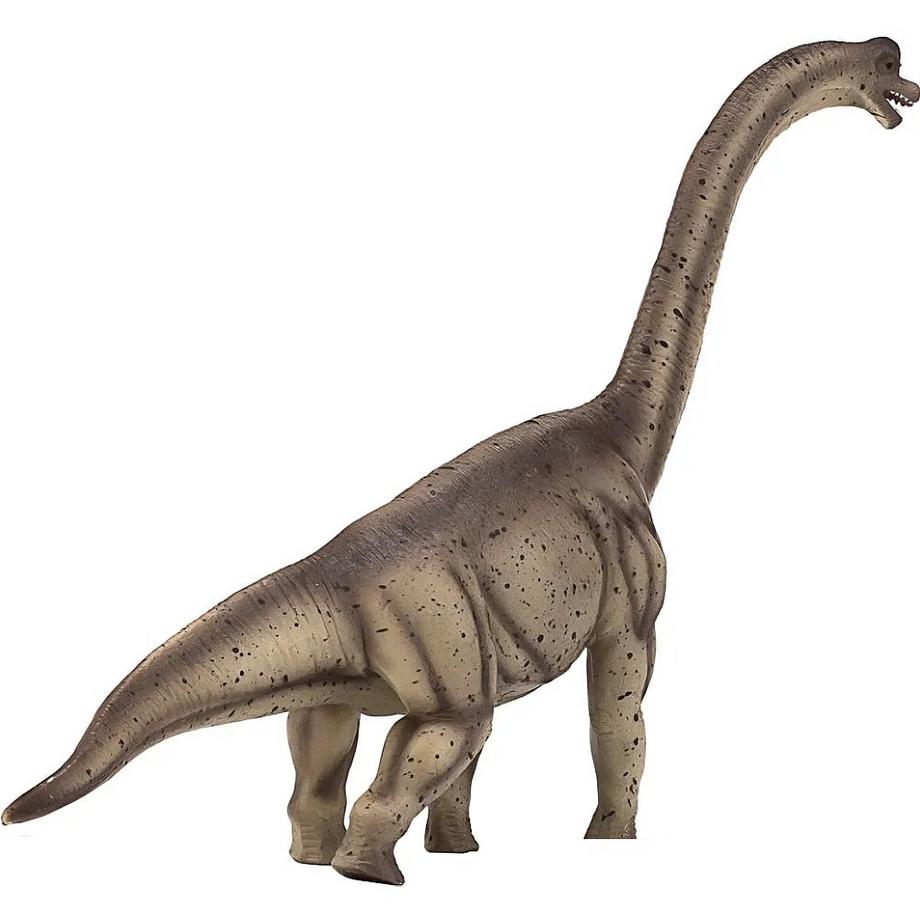 Mojo  Prehistoric Life Deluxe Brachiosaurus 