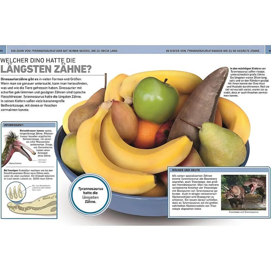 Total verrückt! Dinosaurier Lomax, Dean; Woodward, John; Derrick, Stevie; DK Verlag - Kids (Hrsg.); Sixt, Eva (Übersetzung) Gebundene Ausgabe 