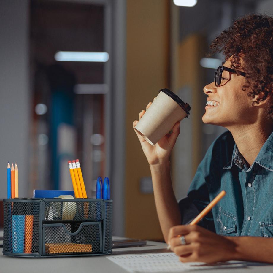 B2X Organisation de bureau avec 9 compartiments  