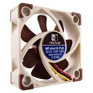 Noctua  Noctua 