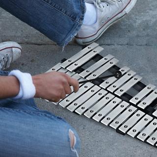Northix  Glockenspiel a percussione manuale, xilofono con bacchette, borsa per il trasporto, 30 note 