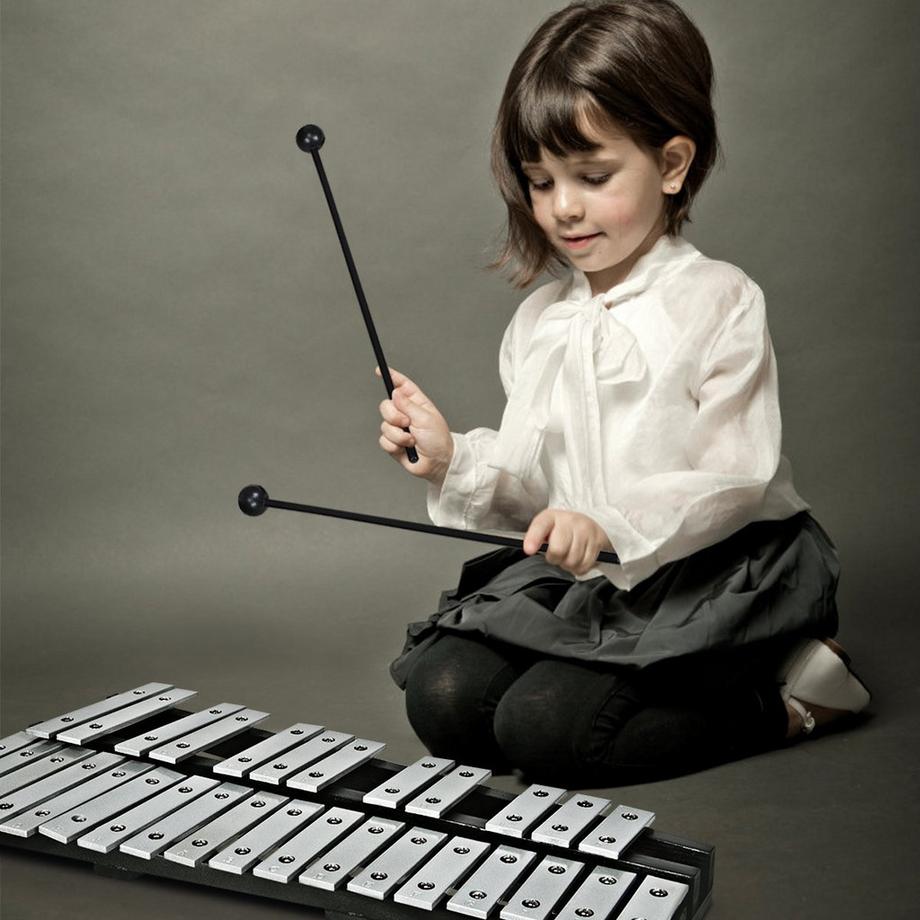 Northix  Handpercussion Glockenspiel Xylophon mit Schlägel Tragetasche 30 Noten 