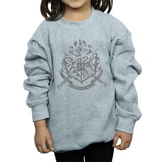 HARRY-POTTER  Sweatshirt 