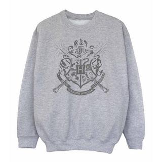 HARRY-POTTER  Sweatshirt 