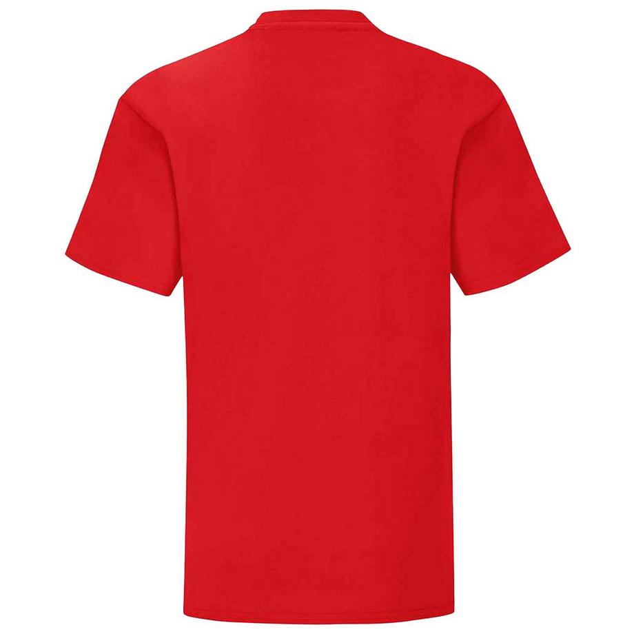 Fruit of the Loom  Iconic TShirt 