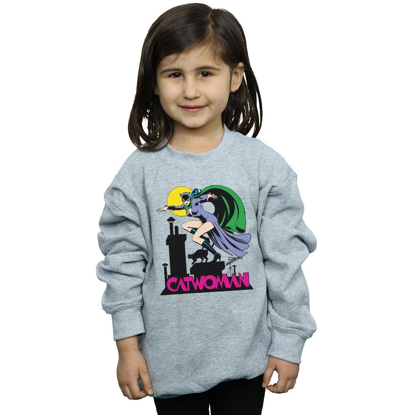 DC COMICS  Sweatshirt 