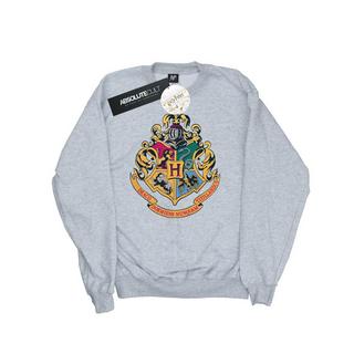 Harry Potter  Hogwarts Sweatshirt 