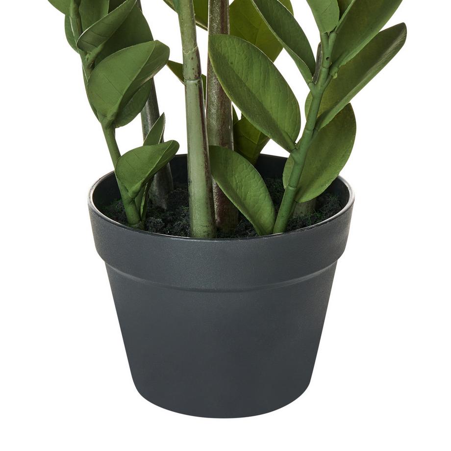 Beliani Plante artificielle en Matière synthétique  ZAMIIFOLIA  