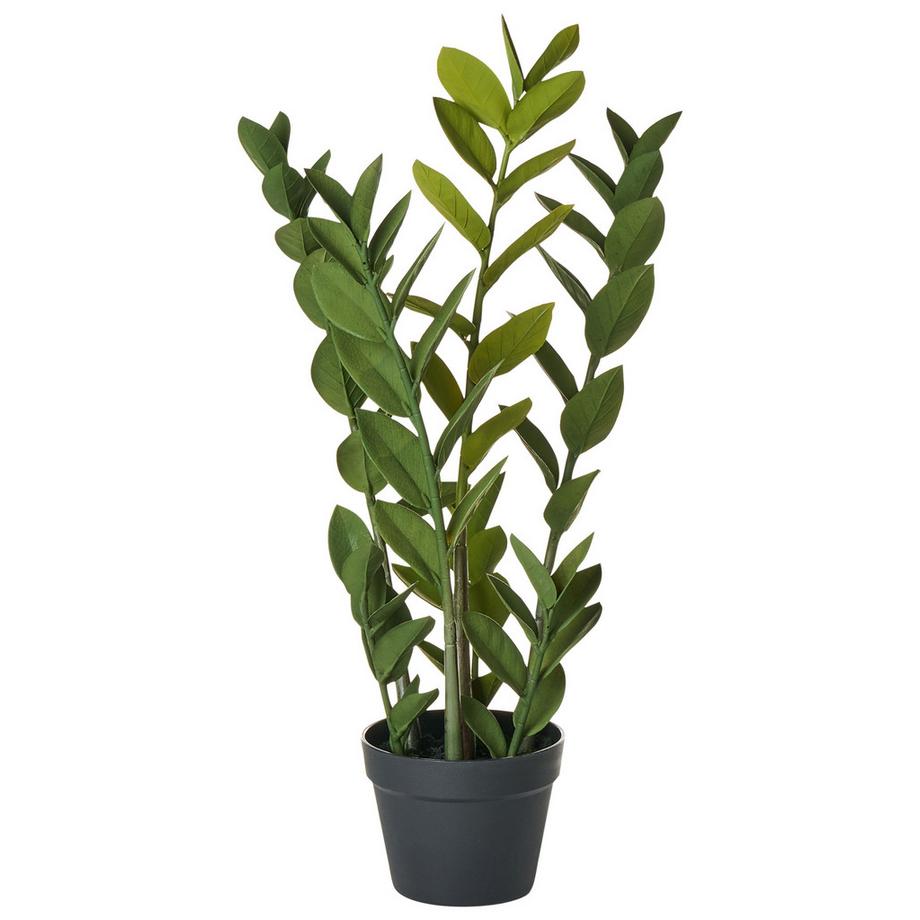 Plante artificielle en Matière synthétique  ZAMIIFOLIA