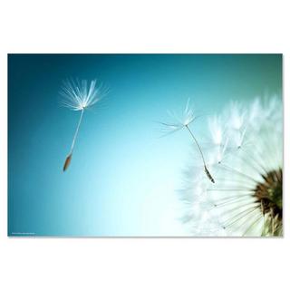 trendform Sous-main FLOWER  