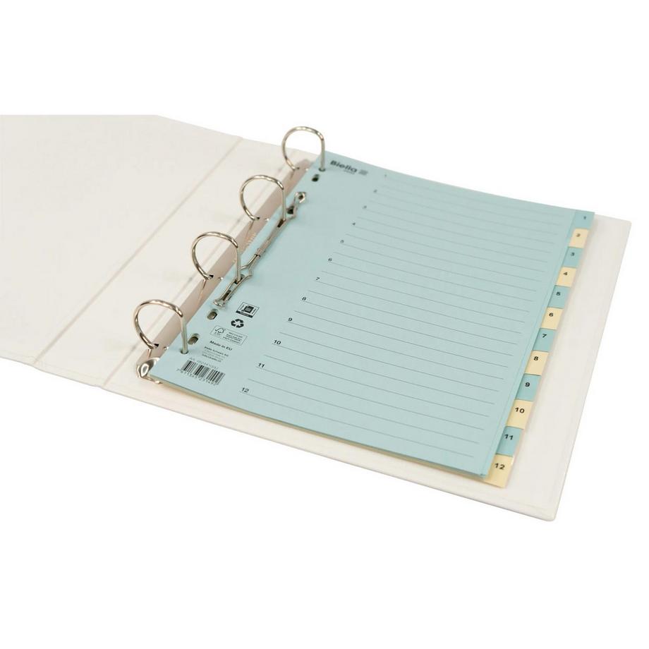 Biella BIELLA Register Karton farbig A4 462441.00 1-12  