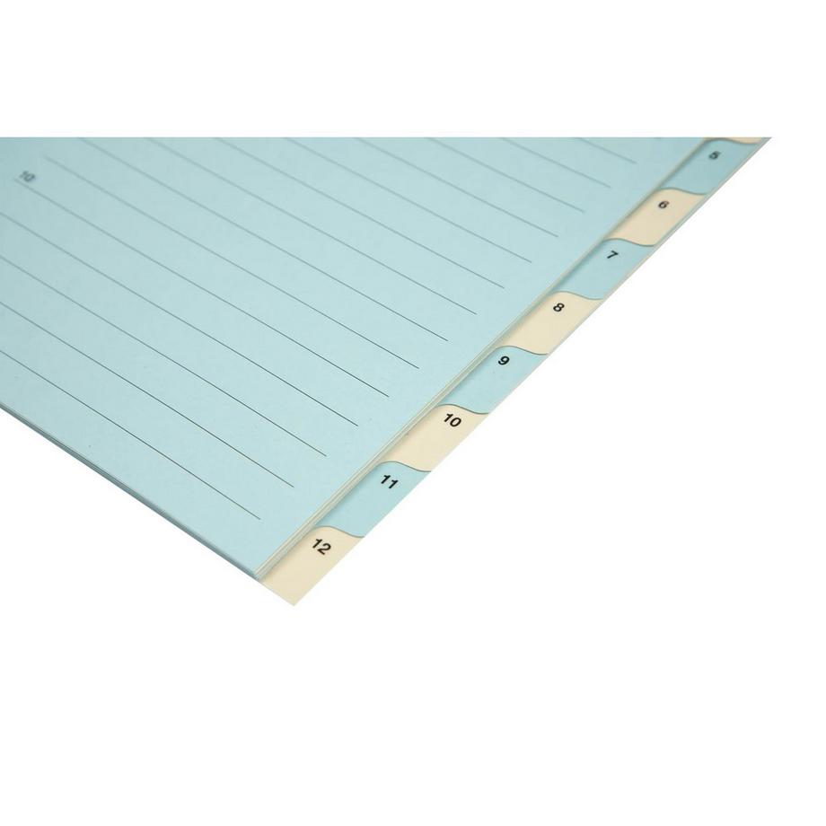 Biella BIELLA Register Karton farbig A4 462441.00 1-12  