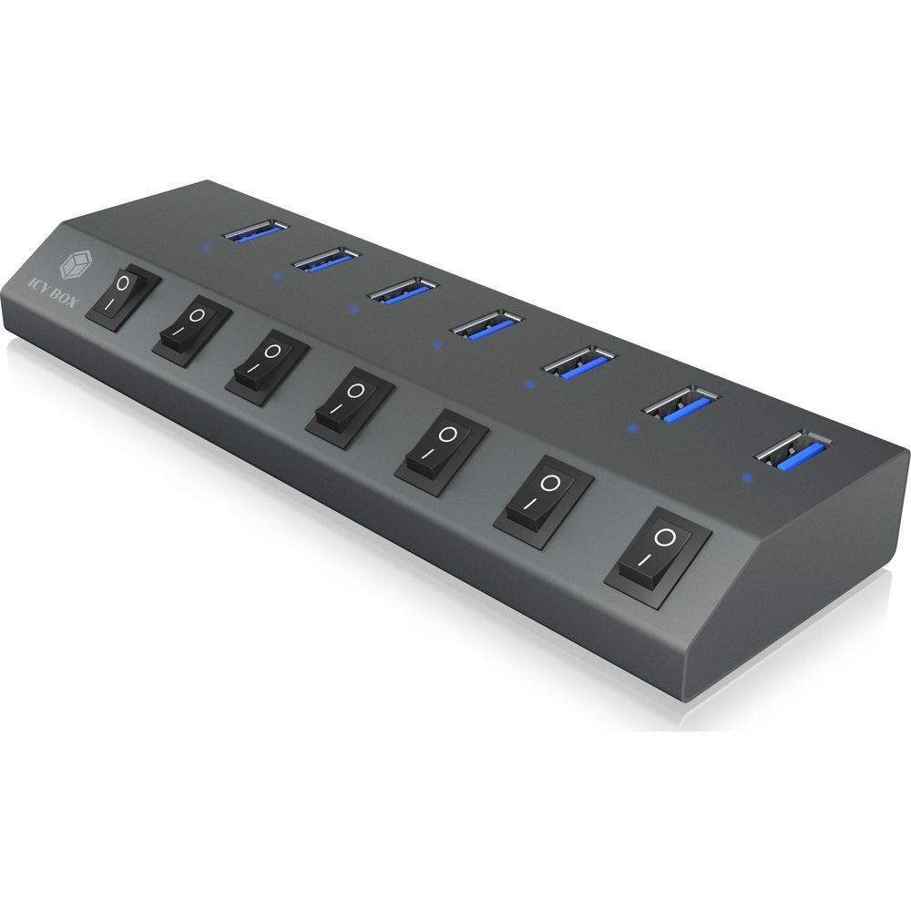 RaidSonic  RAIDSONIC 