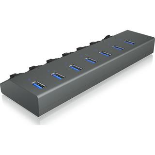 RaidSonic  RAIDSONIC 