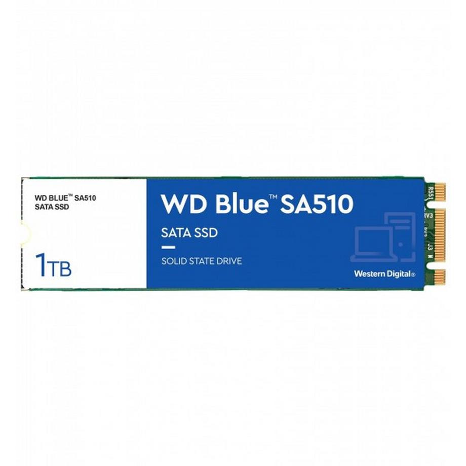 Blue SA510 (1000 GB, M.2 2280)
