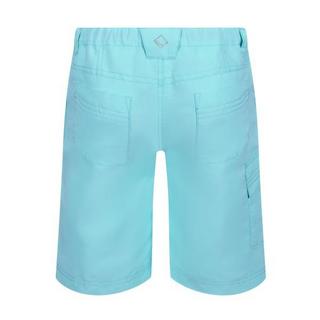 Regatta  Sorcer II Shorts 