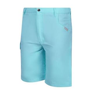 Regatta  Sorcer II Shorts 