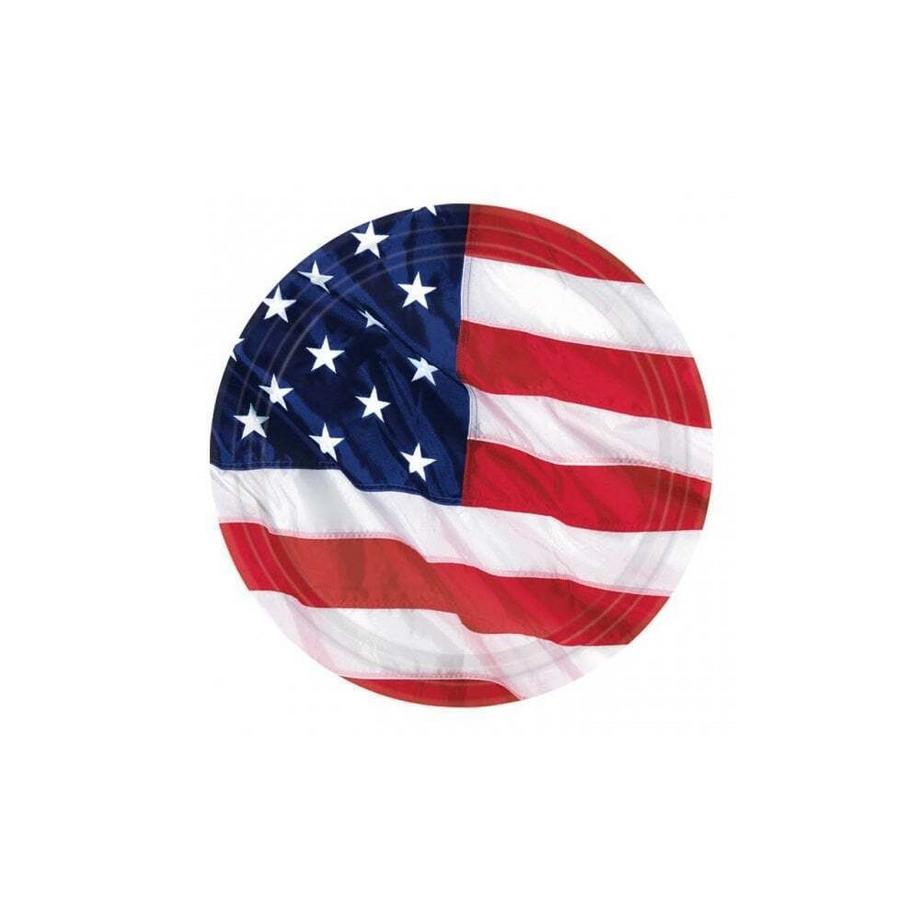 Amerikanische Flagge WegwerfTeller, Papier 10erPack