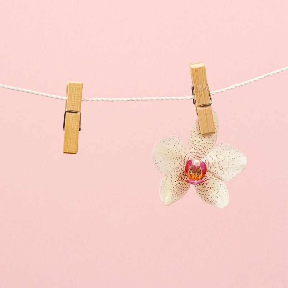 B2X  60 robuste und langlebige Wäscheklammern aus Holz für die Wäsche im Innen- und Außenbereich 