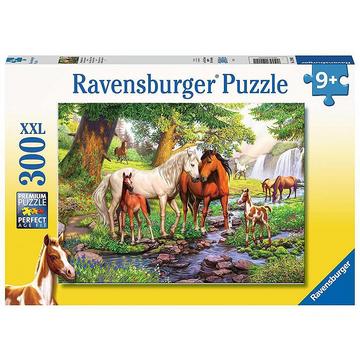 Ravensburger Wildpferde am Fluss