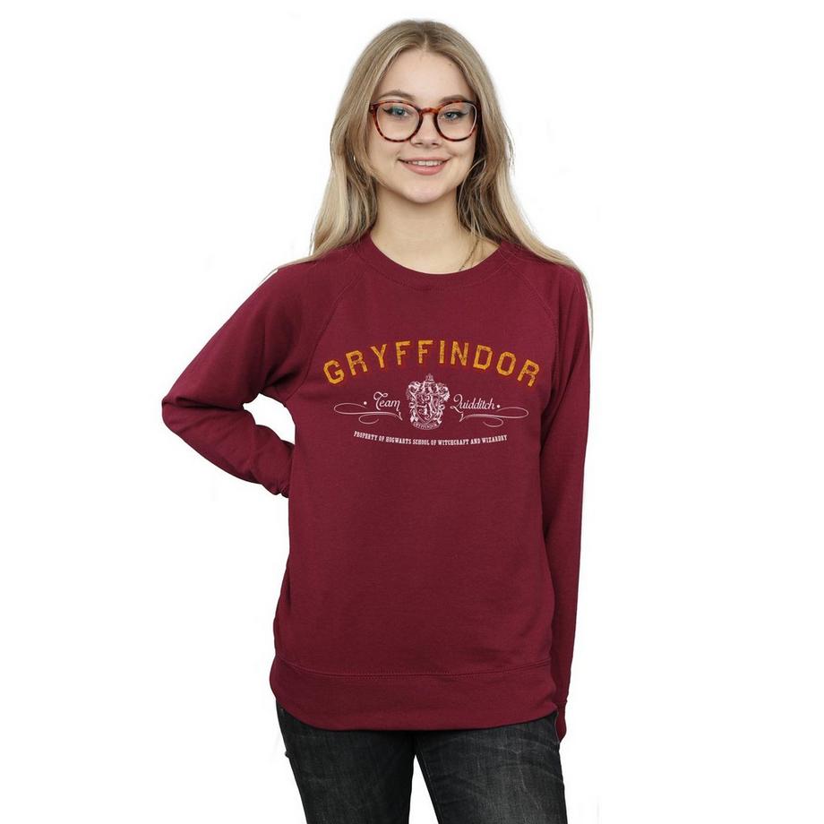 Harry Potter Gryffindor Quidditch Felpa Quidditch  