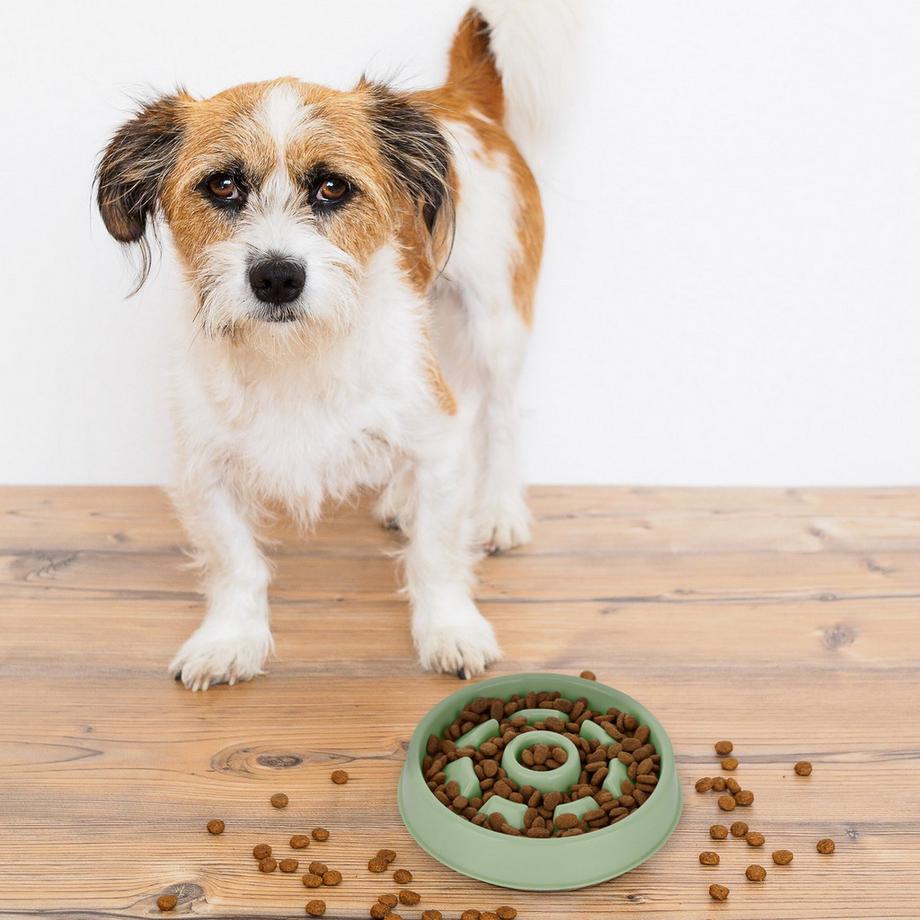 B2X  Anti-Schlingschüssel 550 ml 