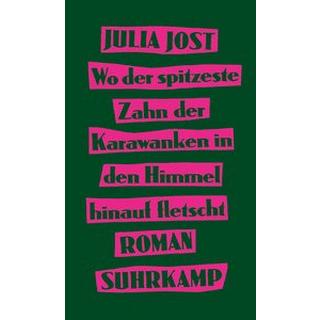 Wo der spitzeste Zahn der Karawanken in den Himmel hinauf fletscht Jost, Julia Copertina rigida 